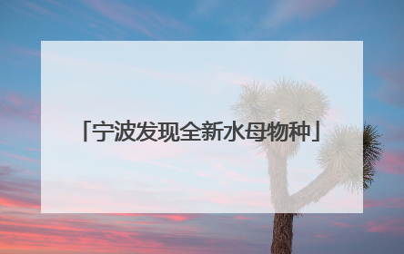 宁波发现全新水母物种