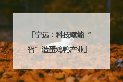宁远：科技赋能“智”造蛋鸡鸭产业