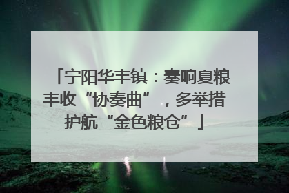 宁阳华丰镇：奏响夏粮丰收“协奏曲”，多举措护航“金色粮仓”