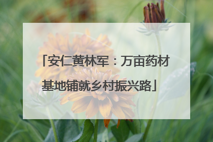 安仁黄林军：万亩药材基地铺就乡村振兴路
