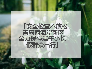 安全检查不放松 青岛西海岸新区全力保障端午小长假群众出行