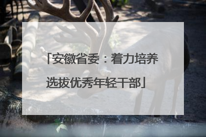 安徽省委：着力培养选拔优秀年轻干部