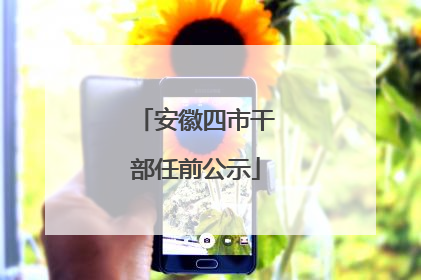 安徽四市干部任前公示