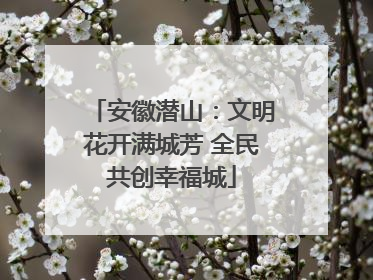 安徽潜山：文明花开满城芳 全民共创幸福城