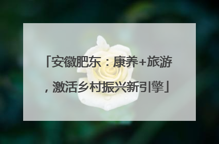 安徽肥东：康养+旅游，激活乡村振兴新引擎
