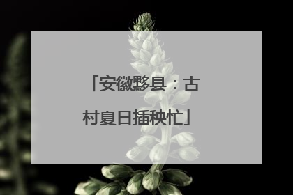 安徽黟县：古村夏日插秧忙