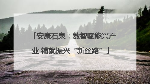 安康石泉：数智赋能兴产业 铺就振兴“新丝路”