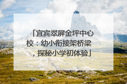 宜宾翠屏金坪中心校：幼小衔接架桥梁，探秘小学初体验