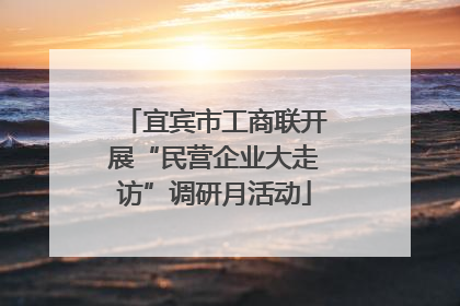 宜宾市工商联开展“民营企业大走访”调研月活动