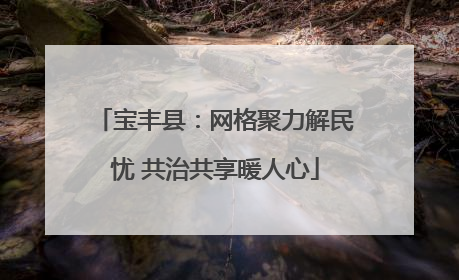 宝丰县：网格聚力解民忧 共治共享暖人心