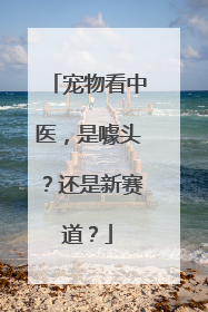 宠物看中医，是噱头？还是新赛道？