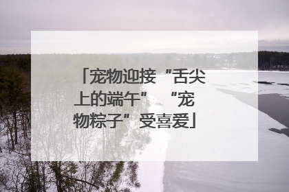 宠物迎接“舌尖上的端午” “宠物粽子”受喜爱