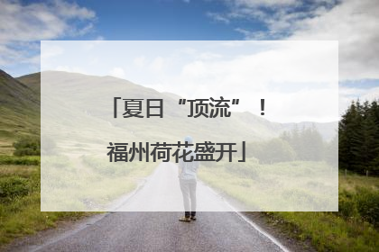 夏日“顶流”！福州荷花盛开