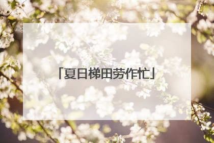 夏日梯田劳作忙