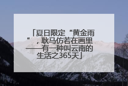 夏日限定“黄金雨”，耿马仿若在画里——有一种叫云南的生活之365天