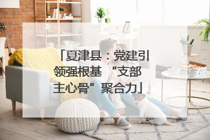 夏津县：党建引领强根基 “支部主心骨”聚合力