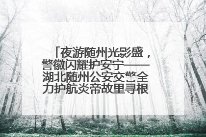 夜游随州光影盛，警徽闪耀护安宁——湖北随州公安交警全力护航炎帝故里寻根节夜游活动侧记