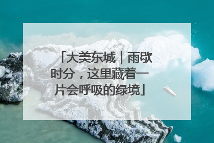 大美东城｜雨歇时分，这里藏着一片会呼吸的绿境