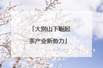 大别山下崛起茶产业新势力