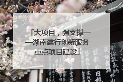 大项目，强支撑——湖南建行创新服务重点项目建设