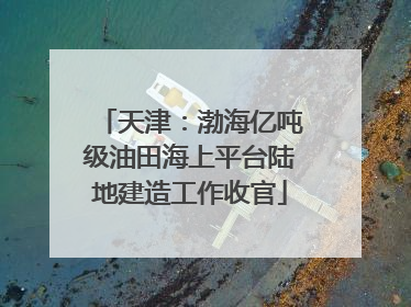 天津：渤海亿吨级油田海上平台陆地建造工作收官