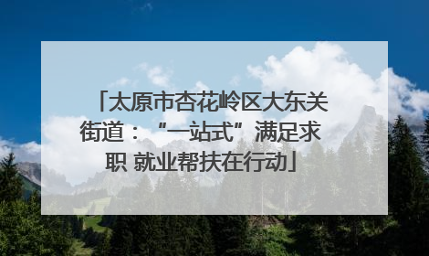 太原市杏花岭区大东关街道：“一站式”满足求职 就业帮扶在行动