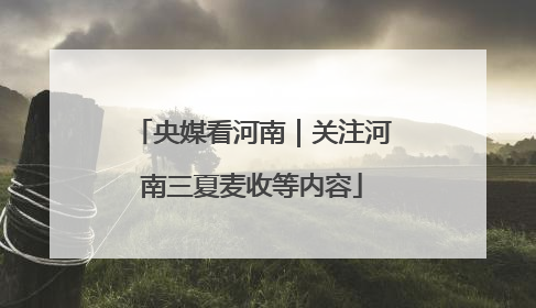 央媒看河南｜关注河南三夏麦收等内容