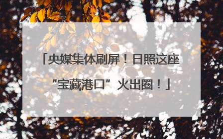 央媒集体刷屏！日照这座“宝藏港口”火出圈！