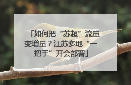 如何把“苏超”流量变增量？江苏多地“一把手”开会部署