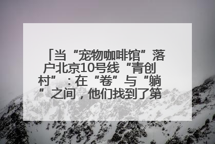 当“宠物咖啡馆”落户北京10号线“青创村”：在“卷”与“躺”之间，他们找到了第三种生活公式
