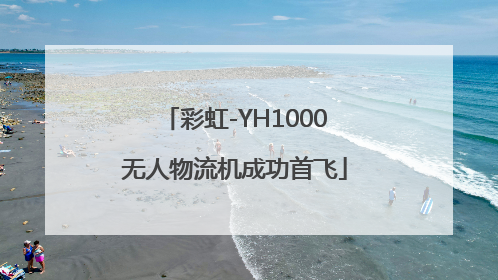 彩虹-YH1000无人物流机成功首飞