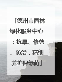 德州市园林绿化服务中心：抗旱、修剪、防治，精细养护保绿荫
