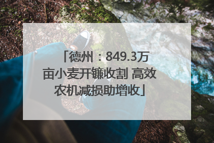 德州：849.3万亩小麦开镰收割 高效农机减损助增收
