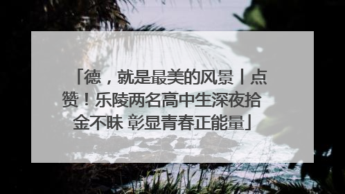 德，就是最美的风景丨点赞！乐陵两名高中生深夜拾金不昧 彰显青春正能量