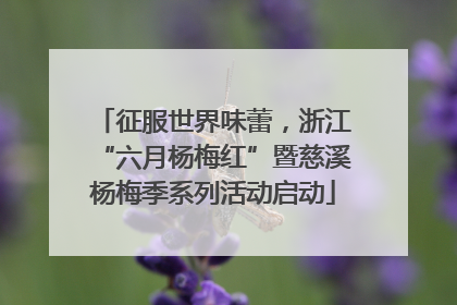 征服世界味蕾，浙江“六月杨梅红”暨慈溪杨梅季系列活动启动