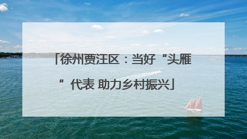 徐州贾汪区：当好“头雁”代表 助力乡村振兴
