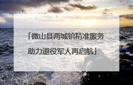微山县两城镇精准服务助力退役军人再启航