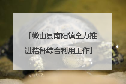 微山县南阳镇全力推进秸秆综合利用工作
