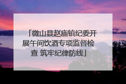 微山县赵庙镇纪委开展午间饮酒专项监督检查 筑牢纪律防线