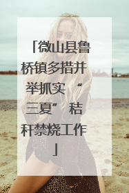 微山县鲁桥镇多措并举抓实 “三夏” 秸秆禁烧工作