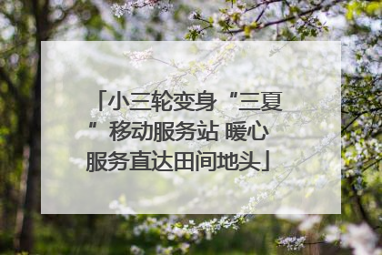 小三轮变身“三夏”移动服务站 暖心服务直达田间地头