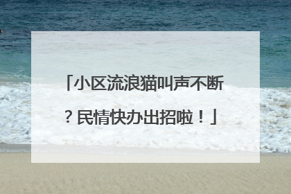小区流浪猫叫声不断？民情快办出招啦！