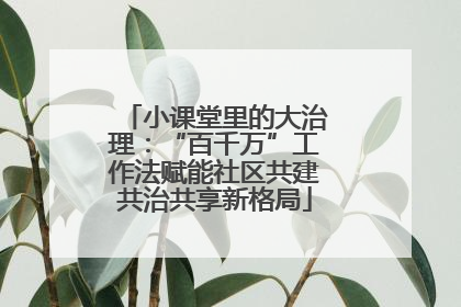 小课堂里的大治理：“百千万”工作法赋能社区共建共治共享新格局
