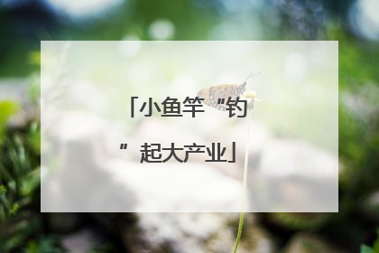 小鱼竿“钓”起大产业