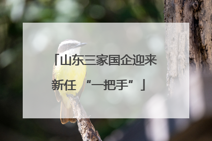 山东三家国企迎来新任 “一把手”