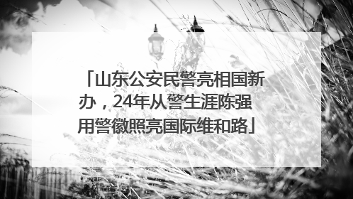 山东公安民警亮相国新办，24年从警生涯陈强用警徽照亮国际维和路