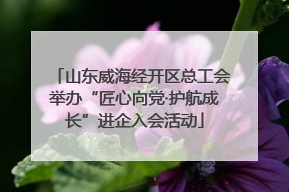 山东威海经开区总工会举办“匠心向党·护航成长”进企入会活动