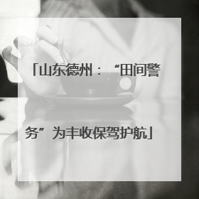 山东德州：“田间警务”为丰收保驾护航