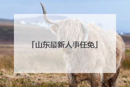 山东最新人事任免