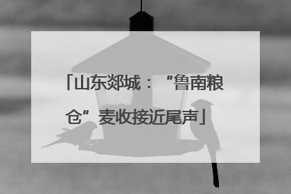 山东郯城：“鲁南粮仓”麦收接近尾声